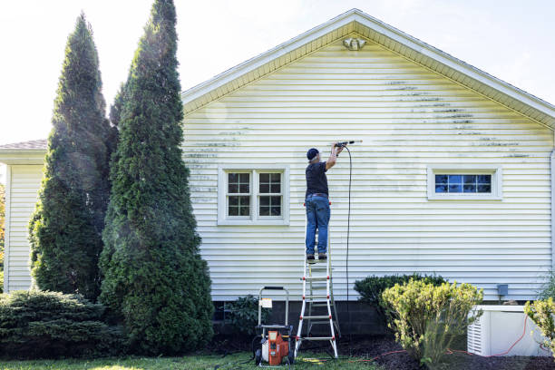 Best Concrete Pressure Washing  in Medpolis, IA