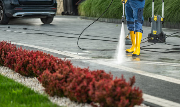Best Deck Cleaning Services  in Medpolis, IA