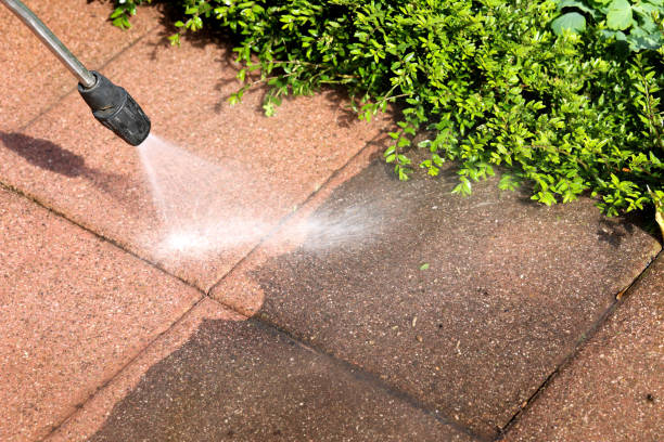 Best Best Pressure Washing Companies  in Medpolis, IA